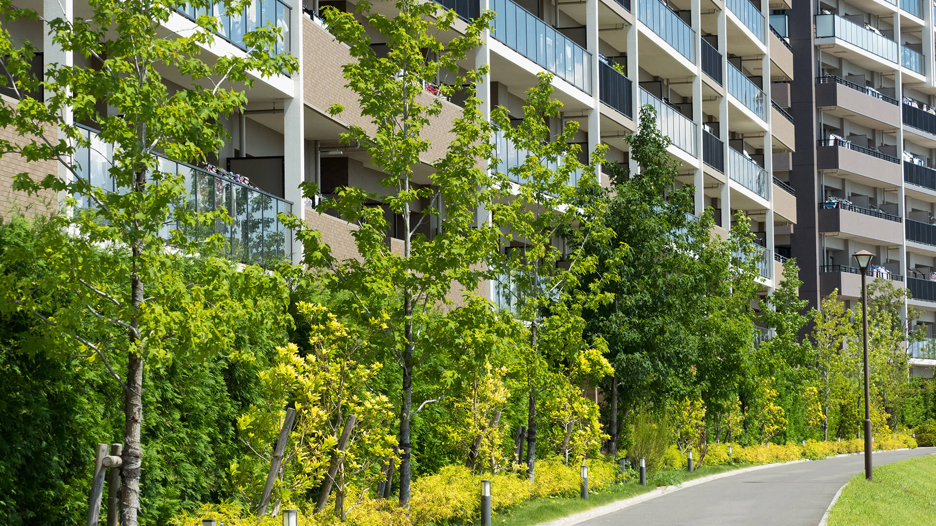 うさぎのごえん